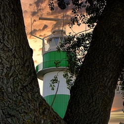 Album 2021 - die TOP 100 Bilder meines Jahres