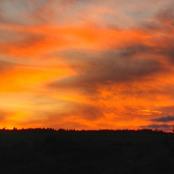 Album 2016 - die TOP 100 Bilder meines Jahres